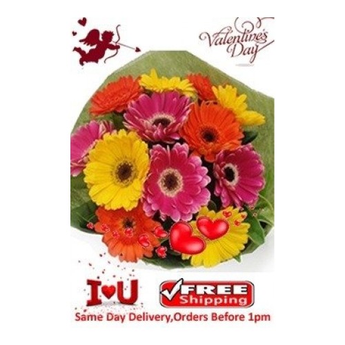 Colored Gerberas